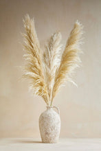 Load image into Gallery viewer, Ivory Tall Pampas Grass
