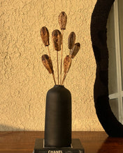 Load image into Gallery viewer, Mahogany stems with vase
