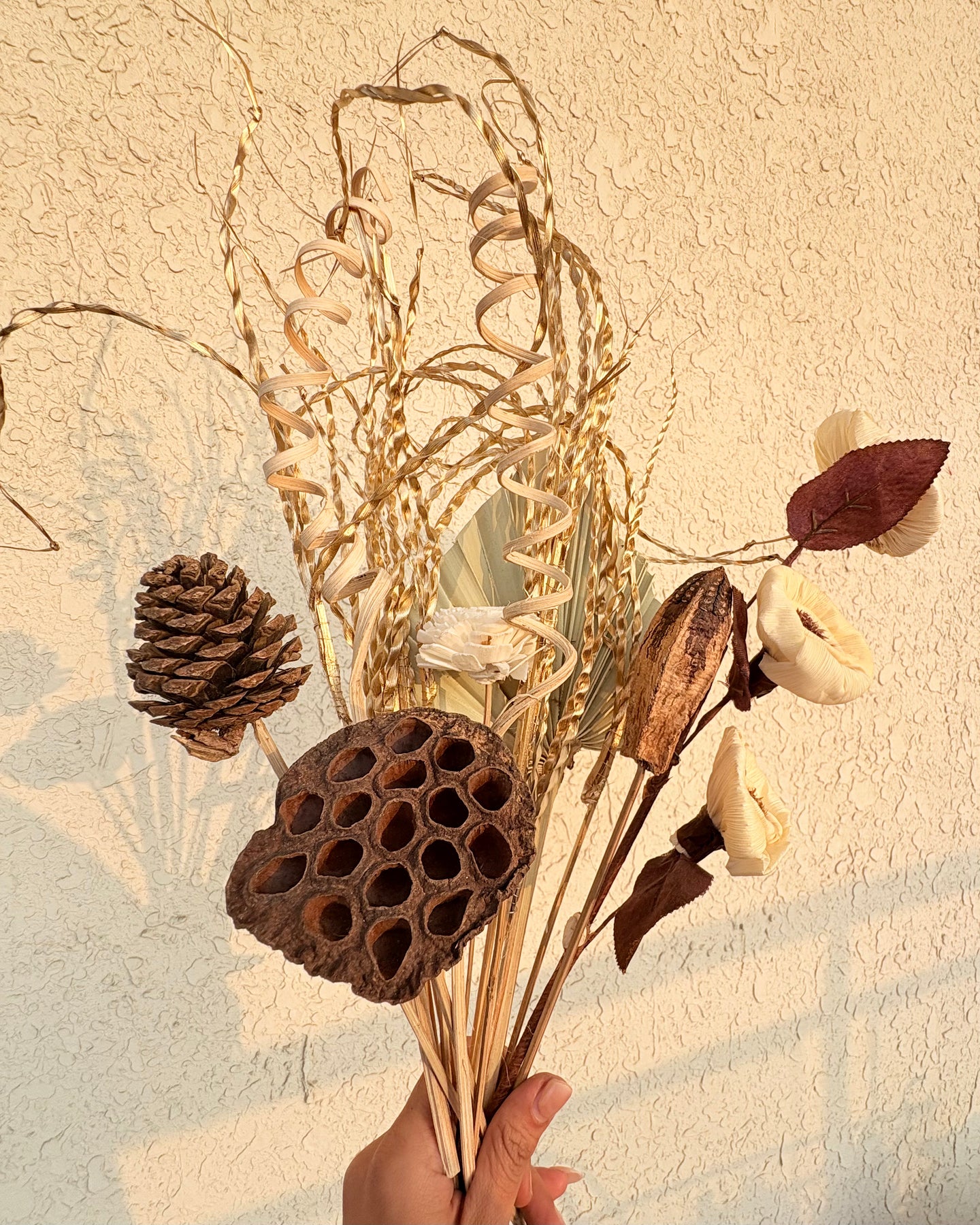 Ebony dried flower