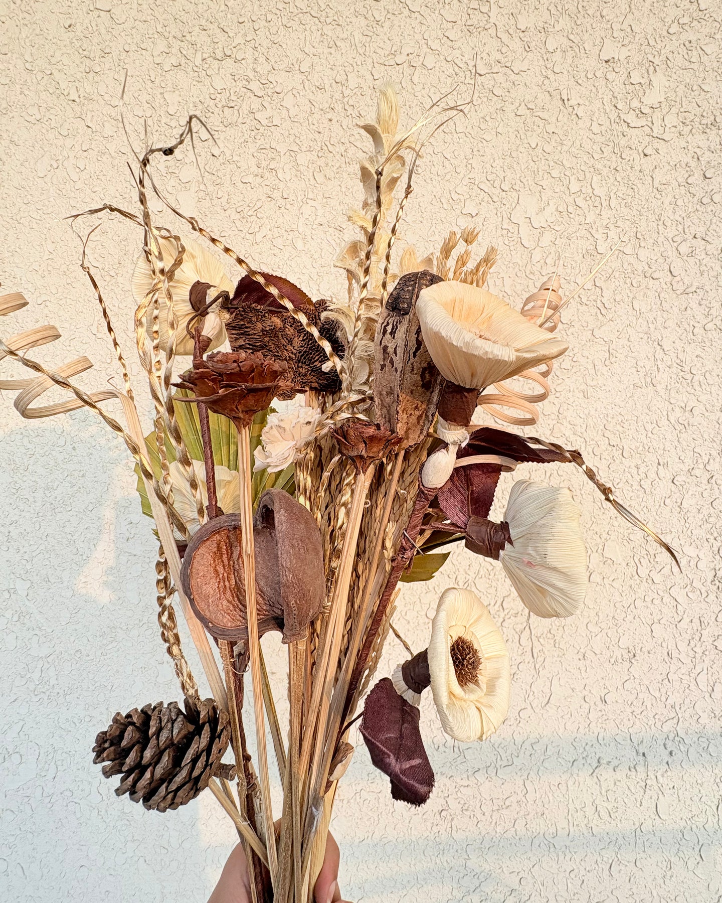 Abigail dried flower