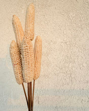 Load image into Gallery viewer, Corn stem
