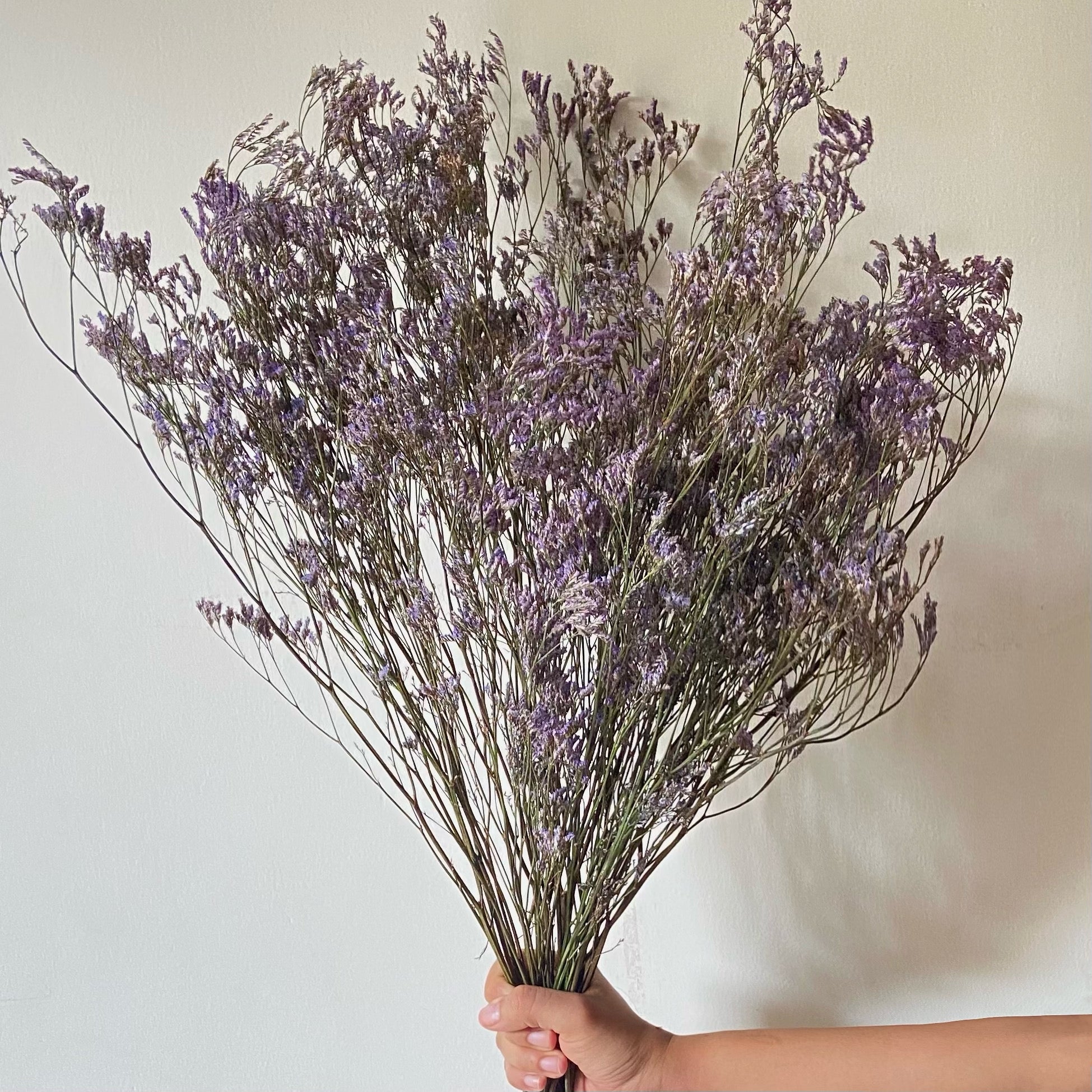 Naturally Dried Lavender stems – Casarella