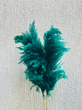 Load image into Gallery viewer, Green Fluffy Pampas
